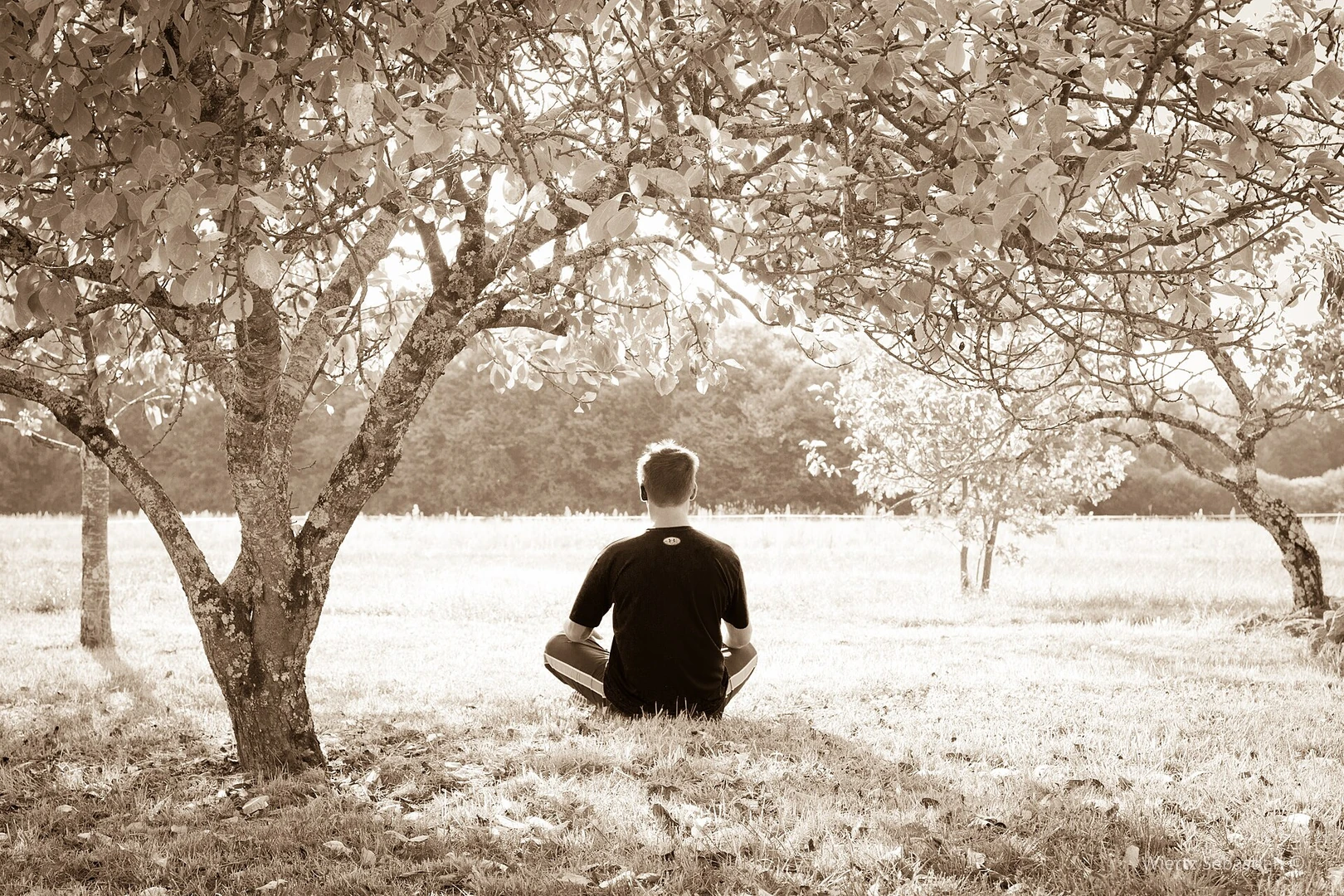 Meditasyon yapan yetişkin erkek